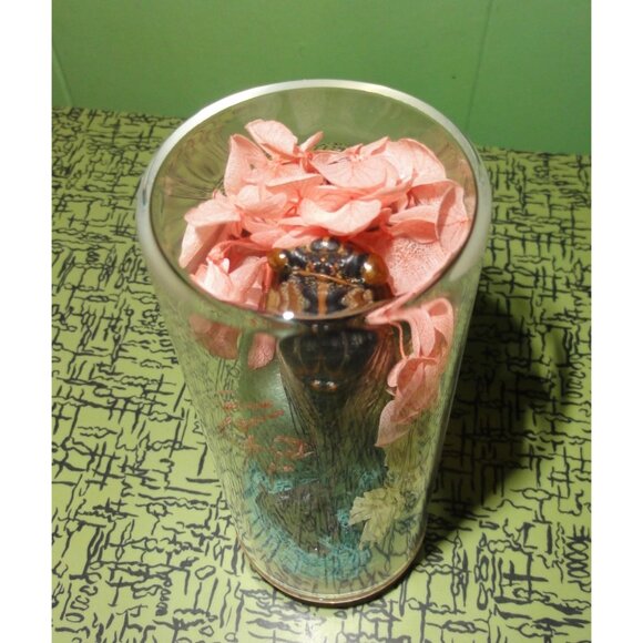 Cicada & Bigfoot Oddity Jar curiosity dome cryptid insect taxidermy floral goth - Picture 15 of 16